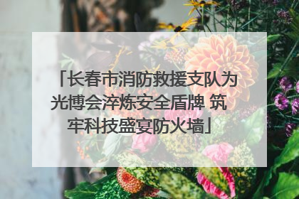 长春市消防救援支队为光博会淬炼安全盾牌 筑牢科技盛宴防火墙