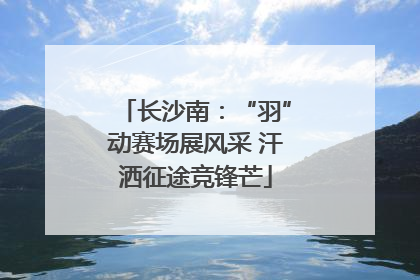 长沙南：“羽”动赛场展风采 汗洒征途竞锋芒