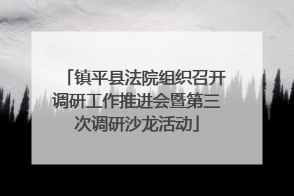 镇平县法院组织召开调研工作推进会暨第三次调研沙龙活动