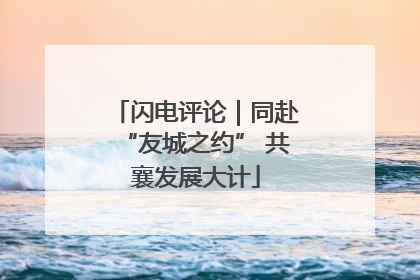 闪电评论｜同赴“友城之约” 共襄发展大计
