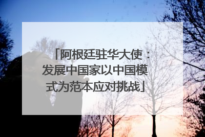阿根廷驻华大使：发展中国家以中国模式为范本应对挑战
