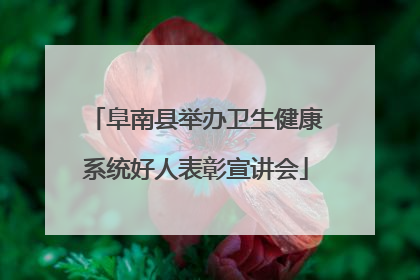 阜南县举办卫生健康系统好人表彰宣讲会