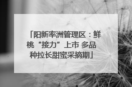 阳新率洲管理区：鲜桃“接力”上市 多品种拉长甜蜜采摘期