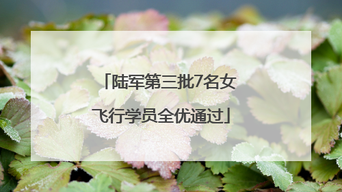 陆军第三批7名女飞行学员全优通过