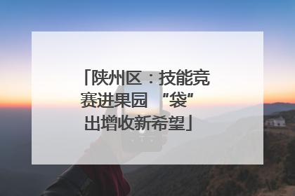 陕州区：技能竞赛进果园 “袋”出增收新希望