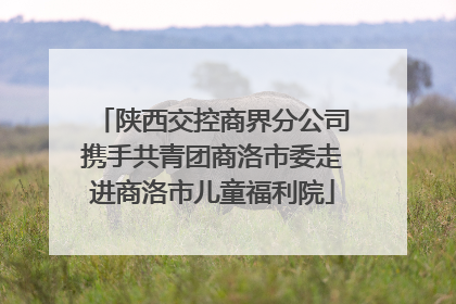 陕西交控商界分公司携手共青团商洛市委走进商洛市儿童福利院