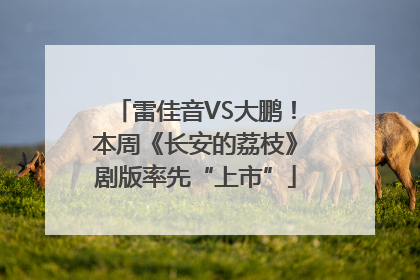 雷佳音VS大鹏！本周《长安的荔枝》剧版率先“上市”