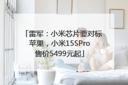 雷军：小米芯片要对标苹果，小米15SPro售价5499元起