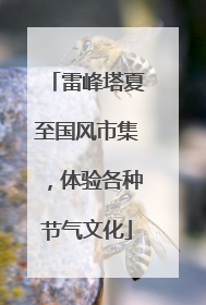 雷峰塔夏至国风市集，体验各种节气文化