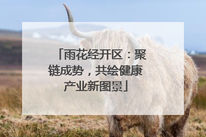 雨花经开区：聚链成势，共绘健康产业新图景