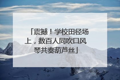 震撼！学校田径场上，数百人同吹口风琴共奏葫芦丝