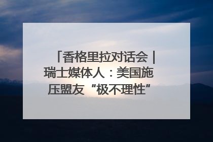 香格里拉对话会｜瑞士媒体人：美国施压盟友“极不理性” 欧洲国家无意与中国“脱钩断链”