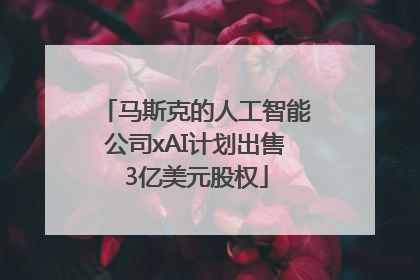 马斯克的人工智能公司xAI计划出售3亿美元股权