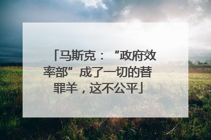 马斯克：“政府效率部”成了一切的替罪羊，这不公平