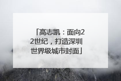 高志凯：面向22世纪，打造深圳世界级城市封面