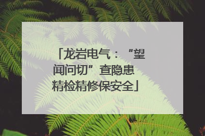 龙岩电气：“望闻问切”查隐患 精检精修保安全
