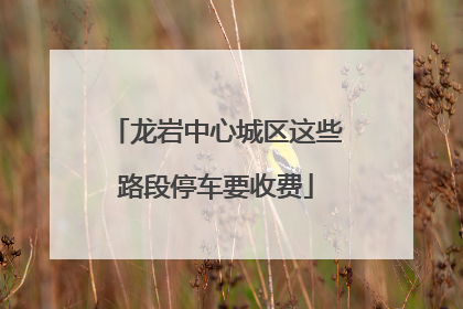 龙岩中心城区这些路段停车要收费