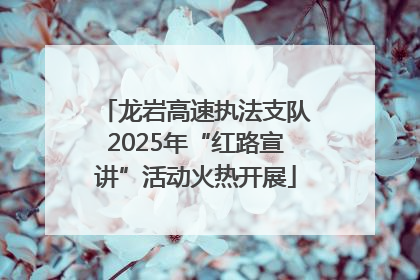 龙岩高速执法支队2025年“红路宣讲”活动火热开展