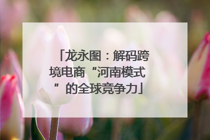龙永图：解码跨境电商“河南模式”的全球竞争力