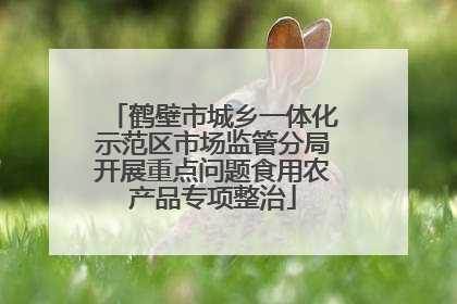 鹤壁市城乡一体化示范区市场监管分局开展重点问题食用农产品专项整治