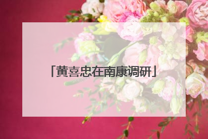 黄喜忠在南康调研