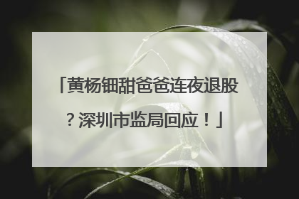 黄杨钿甜爸爸连夜退股？深圳市监局回应！