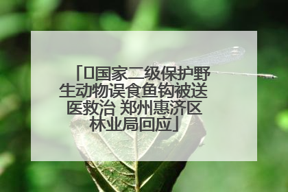 ﻿国家二级保护野生动物误食鱼钩被送医救治 郑州惠济区林业局回应