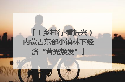 （乡村行·看振兴）内蒙古东部小镇林下经济“茸光焕发”