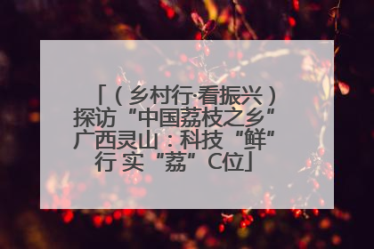 （乡村行·看振兴）探访“中国荔枝之乡”广西灵山：科技“鲜”行 实“荔”C位