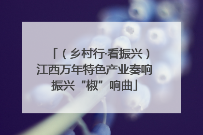 （乡村行·看振兴）江西万年特色产业奏响振兴“椒”响曲