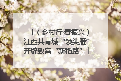 （乡村行·看振兴）江西共青城“领头雁”开辟致富“新稻路”