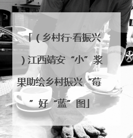（乡村行·看振兴）江西靖安“小”浆果助绘乡村振兴“莓”好“蓝”图