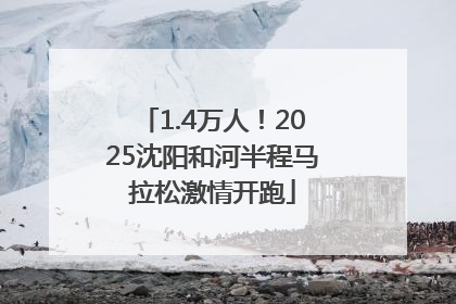 1.4万人！2025沈阳和河半程马拉松激情开跑