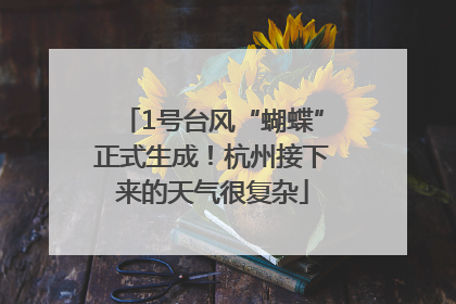 1号台风“蝴蝶”正式生成！杭州接下来的天气很复杂