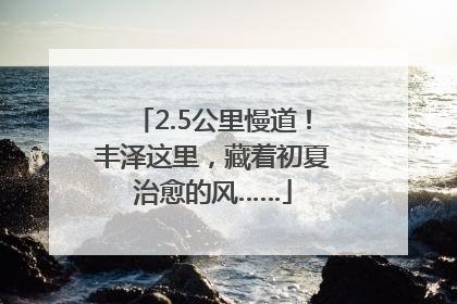 2.5公里慢道！丰泽这里，藏着初夏治愈的风……
