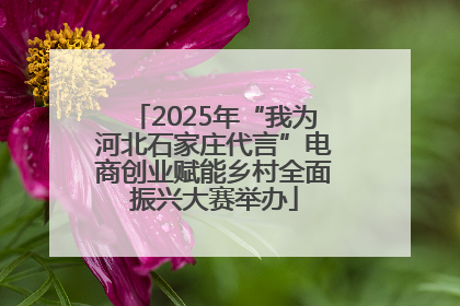 2025年“我为河北石家庄代言”电商创业赋能乡村全面振兴大赛举办