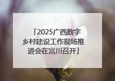 2025广西数字乡村建设工作现场推进会在富川召开