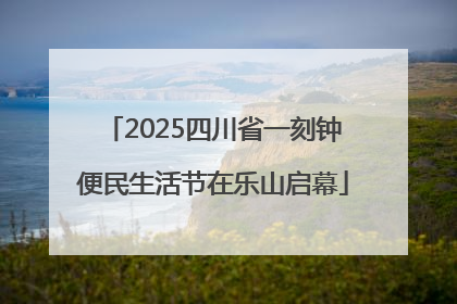 2025四川省一刻钟便民生活节在乐山启幕