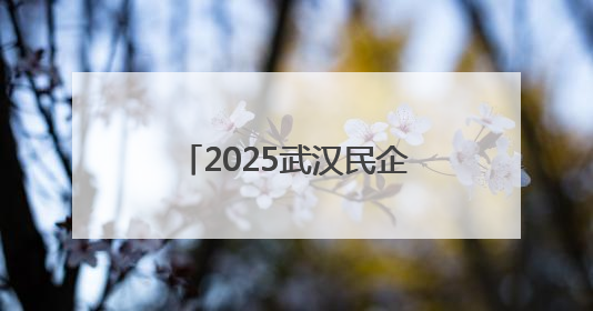2025武汉民企运动会圆满收官 乔万尼59岁董事长率队羽毛球夺冠