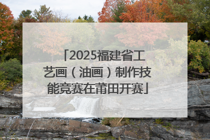 2025福建省工艺画（油画）制作技能竞赛在莆田开赛
