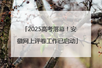 2025高考落幕！安徽网上评卷工作已启动
