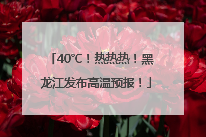 40℃！热热热！黑龙江发布高温预报！
