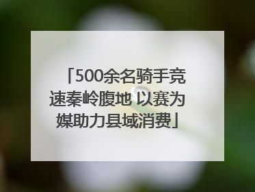 500余名骑手竞速秦岭腹地 以赛为媒助力县域消费