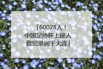 60028人！中国足协杯上座人数纪录属于大连