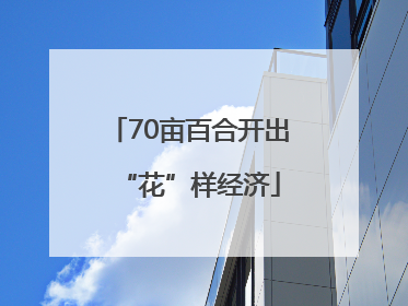 70亩百合开出“花”样经济