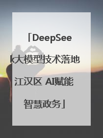DeepSeek大模型技术落地江汉区 AI赋能智慧政务