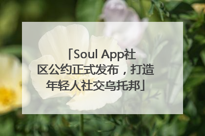 Soul App社区公约正式发布，打造年轻人社交乌托邦
