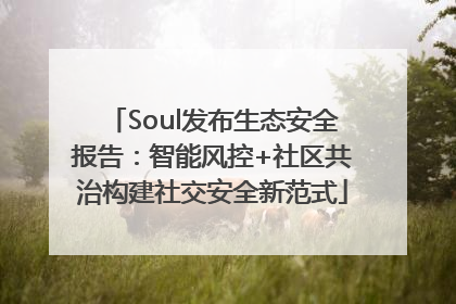 Soul发布生态安全报告：智能风控+社区共治构建社交安全新范式