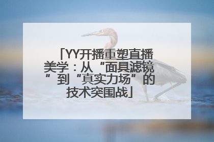 YY开播重塑直播美学：从“面具滤镜”到“真实力场”的技术突围战