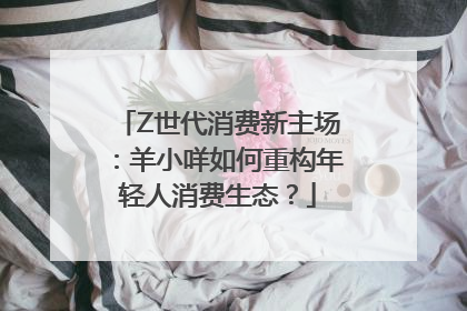 Z世代消费新主场：羊小咩如何重构年轻人消费生态？